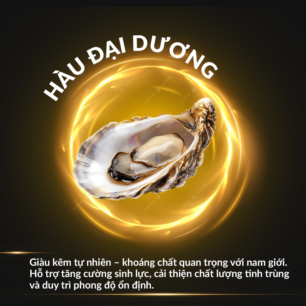 Hàu biển – nguồn kẽm tự nhiên giúp hỗ trợ tăng cường sinh lực và thể lực nam giới