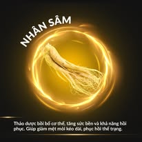 Nhân sâm – tinh chất bồi bổ cơ thể, hỗ trợ giảm mệt mỏi và tăng cường sinh lực.