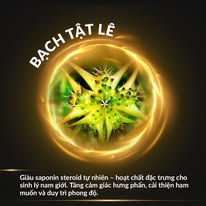 Bạch tật lê – thảo dược truyền thống hỗ trợ duy trì phong độ và năng lượng