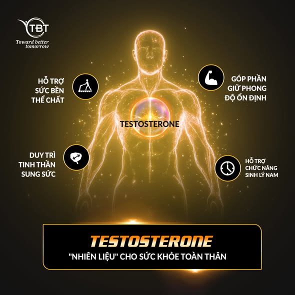 nhiên liệu cho cơ thể toàn thân
