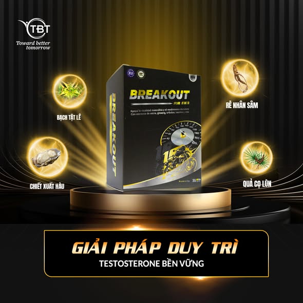 giải pháp duy trì bền vững