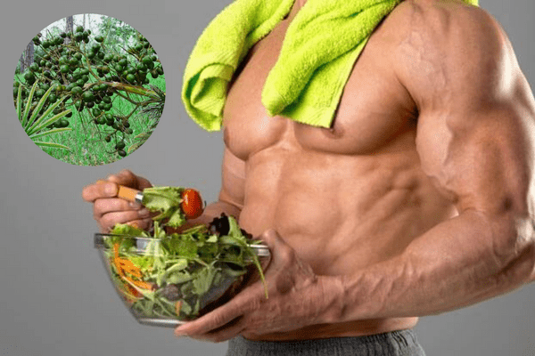 Cọ lùn – hỗ trợ cân bằng và duy trì sức khỏe sinh lý nam giới