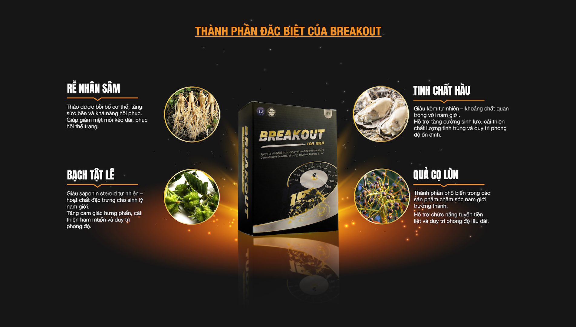 THÀNH PHẦN ĐẶC BIỆT CỦA BREAKOUT 